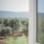 La Finestra Sugli Ulivi Pezze Di Greco