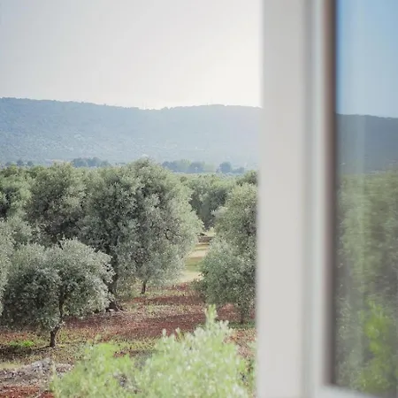 La Finestra Sugli Ulivi Pezze Di Greco