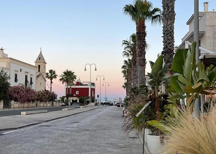 La Finestra Sugli Ulivi * Pezze Di Greco