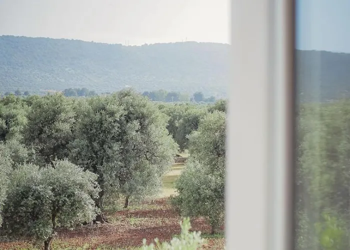 La Finestra Sugli Ulivi Pezze Di Greco